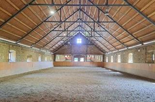 Anlageobjekt in 31188 Holle, Tolle Reitanlage mit Wohnhaus und Einliegerwohnung