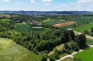 Grundstück zu kaufen in 74889 Sinsheim, GLOBAL INVEST SINSHEIM | Tolles Freizeitgrundstück mit Wochenendhaus in Sinsheim