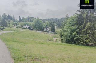 Grundstück zu kaufen in 79737 Herrischried, Sonniger Bauplatz in toller Lage!