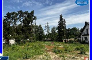 Grundstück zu kaufen in 15370 Petershagen, Kauf oder Erbpacht - was besser zu Ihnen paßt - Baugrundstück für Ein- oder Mehrfamilienhaus