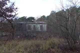 Grundstück zu kaufen in Albert-Schweitzer-Straße o. Nr., 14974 Ludwigsfelde, Auktion - Kleine verwilderte Freifläche in Ludwigsfelde
