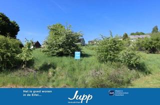 Grundstück zu kaufen in 54584 Gönnersdorf, Baugrundstück mit polygonem Zuschnitt, Gönnersdorf (28)