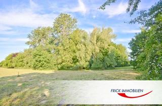 Grundstück zu kaufen in 23738 Riepsdorf, Baugrundstück in Ostseenähe mit Süd-West Ausrichtung in ruhiger Lage