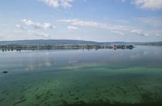 Grundstück zu kaufen in 78476 Allensbach, Exklusive Seeliegenschaft gegenüber der Insel Reichenau (UNESCO-Welterbe)
