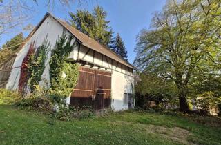 Grundstück zu kaufen in Odenwaldstrasse 20, 69239 Neckarsteinach, Baugrundstück mit Scheune und Weitblick – zwischen Natur, Geschichte und Perspektive