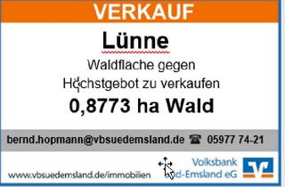 Immobilie kaufen in 48480 Lünne, 0,8773 ha Waldfläche Mindestgebot : 3.00 EURO/qm