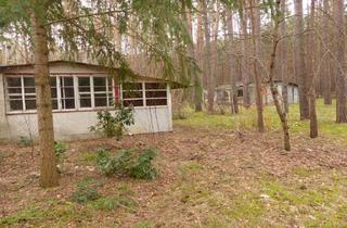 Gewerbeimmobilie kaufen in Fuchsweg, 14822 Borkwalde, Auktion - Vertragsfreier Kiefernwald mit ehem. Erholungsbungalow im südwestlichen Berliner Umland