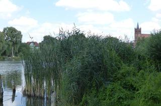 Gewerbeimmobilie kaufen in Nahe Hirtengasse Bzw. Promenade o. Nr., 15374 Müncheberg, Auktion - Teilweise bestocktes Grünland am Waschbanksee (verpachtet)