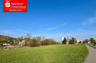 Gewerbeimmobilie kaufen in 31737 Rinteln, Landwirtschaftsfläche in Rinteln OT Todenmann