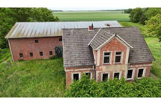Haus kaufen in 25715 Averlak, Großzügiger Resthof mit Baugrundstück und Weideflächen, vielseitige Möglichkeiten in naturnaher Lage