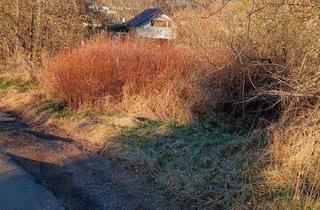 Grundstück zu kaufen in 54584 Jünkerath, **Ihr Panoramablick ins Grüne: Einzigartiges Baugrundstück in Jünkerath/Eifel**