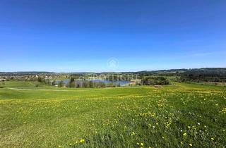 Grundstück zu kaufen in 82435 Bad Bayersoien, Großes Spekulationsgrundstück mit Seeblick