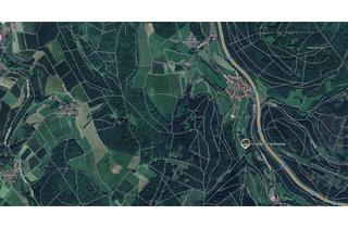Gewerbeimmobilie kaufen in 34593 Knüllwald, 1/39 Miteigentumsanteil(= 1,1ha) für gemeinschaftliche Waldnutzung in Völkershain (Knüllwald)