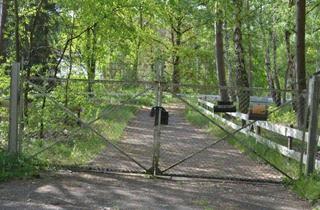 Grundstück zu kaufen in 29389 Bad Bodenteich, Gewerbegrundstück mit Altbestand zu verkaufen 9.000 qm