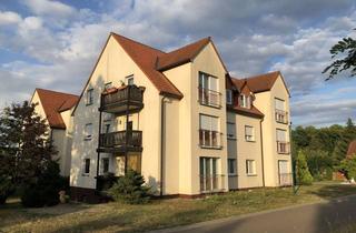 Wohnung mieten in Töpferweg 7a, 06905 Bad Schmiedeberg, Helle 2-Raum-Wohnung mit Balkon in Bad Schmiedeberg
