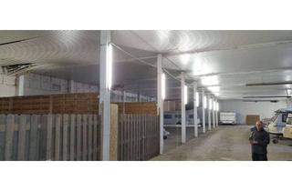 Lager mieten in 39218 Schönebeck, Lagerboxen mit ca. 40 m² in abgeschlossener Halle zu vermieten!