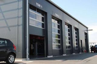 Anlageobjekt in 90763 Fürth, Industriehalle mit Verkaufsflächen, Showroom, 6 Rolltore, Büroräume, Werkstatt, 90763 Fürth
