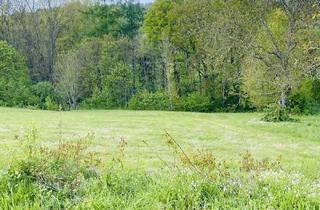 Grundstück zu kaufen in August-Roßwag-Straße xx, 76327 Pfinztal, Wald- & Wiesengrundstück – Nachhaltig Investieren (Provisionsfrei, Verhandlungsbasis)