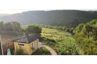 Haus kaufen in 55606 Brauweiler, Idyllischer, sanierter Pferdehof mit 9 ha Weideland