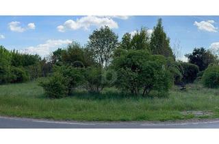 Grundstück zu kaufen in 06780 Zörbig, IHR RÜCKZUGSORT - RUHE, NATUR, PRIVATSPHÄRE