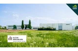 Gewerbeimmobilie kaufen in 48703 Stadtlohn, Stadtlohn: A Dream comes true - Gewerbeflächen en masse verfügbar!