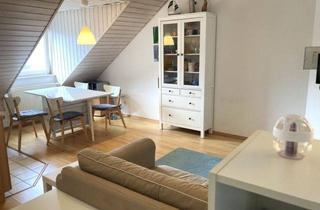 Wohnung mieten in 69242 Mühlhausen, Willkommen in Ihrer neuen gemütlichen Single-Wohnung!