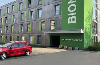 Wohnung mieten in Soldmannstraße 16a, 17489 Fettenvorstadt, Gut gelgene 1-Raum-EG-Wohnung in Greifswald für Studierende/Auszubilden für 495€ inkl. Nebenkosten
