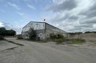 Lager mieten in Dingdener Str. 231, 46395 Bocholt, Hallen- & Freifläche in Bocholt zu vermieten