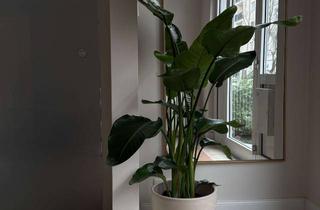 Praxen mieten in 60322 Westend-Süd, KOSMETIKRAUM IN TOP-LAGE *WESTEND*