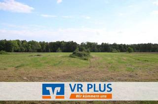 Gewerbeimmobilie kaufen in 29459 Clenze, Landwirtschaftliche Flächen