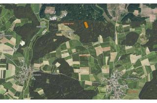 Gewerbeimmobilie kaufen in 91719 Heidenheim, Waldgrundstücke in der Gemarkung Hechlingen am See