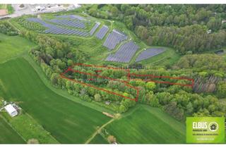 Gewerbeimmobilie kaufen in 66955 Pirmasens, Wald/Wiese Grundstück 9.170m² Fläche in Pirmasens zu Verkaufen