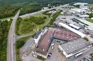 Gewerbeimmobilie mieten in 76694 Forst, Provisionsfrei! Multifunktionale Lager-/Produktionsfläche zu vermieten!