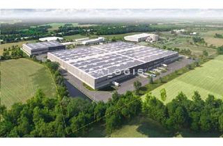 Gewerbeimmobilie mieten in 39291 Möckern, Nähe Magdeburg | an der A2 | ca. 46.000 m² Neubaulogistikfläche | ab sofort