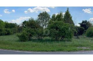 Grundstück zu kaufen in 06780 Zörbig, IHR RÜCKZUGSORT - RUHE, NATUR, PRIVATSPHÄRE