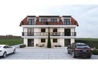 Wohnung kaufen in 74722 Buchen, Buchen (Odenwald) - Neubauwohnung 3 Zimmer KFW 55