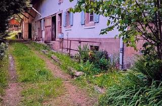 Bauernhaus kaufen in 67806 Rockenhausen, Rockenhausen - Bauernhof in ruhiger, idyllischer Lage in den Vogesen