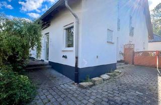 Doppelhaushälfte kaufen in 58802 Balve, Balve - Moderne DHH in gefragter, ruhiger Sackgassenlage von Balve