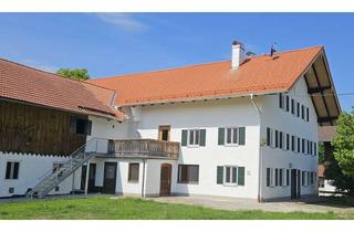Wohnung mieten in Königbergstr. 33, 82404 Sindelsdorf, Erstbezug nach Sanierung: Helle 3-Zimmer-Erdgeschosswohnung mit Terrasse u. Garten in Sindelsdorf