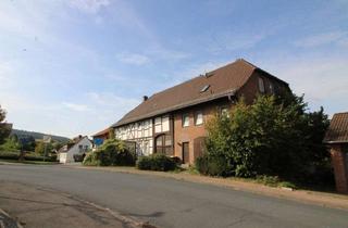 Haus kaufen in Schulstraße 10, 37619 Hehlen, MFH in guter Lage auf großem Grundstück