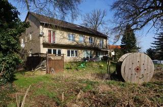 Haus kaufen in 29459 Clenze, Großes Familiendomizil mit ca. 296 m² Wfl. + 2.733 m² Grdst.