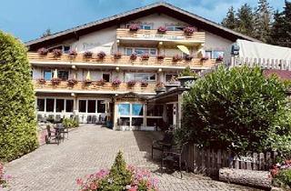 Gewerbeimmobilie kaufen in 79868 Feldberg, SUPER GELEGENHEIT IN TOP LAGE