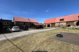 Bauernhaus kaufen in 16775 Löwenberger Land, Löwenberger Land - Idyllischer Vierseitenhof mit Stallungen, Scheune und weitläufigem Grundstück