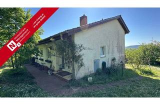 Einfamilienhaus kaufen in 67304 Eisenberg, Eisenberg / Steinborn - Einfamilienhaus in Split-Level-Architektur im beliebten Wohngebiet Steinborn