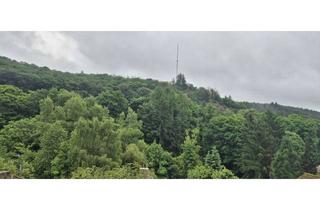 Wohnung mieten in Unbekand, 65388 Schlangenbad, 3-Zimmer -Wohnung Balkon Ausblick ins Grüne in Schlangenbad