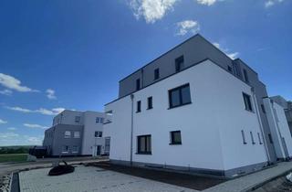 Wohnung mieten in 53909 Zülpich, Exklusive Neubauwohnung mit 3 Zimmern in Traumlage direkt am Wassersportsee in Zülpich