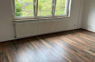 Wohnung mieten in Steinbergstr. 16, 94518 Spiegelau, Schönes Appartement in Spiegelau