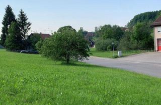 Einfamilienhaus kaufen in 75385 Bad Teinach-Zavelstein, Bestpreisgarantie bei BIEN-ZENKER CONCEPT M 155 mit Bauplatz