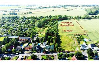 Grundstück zu kaufen in Hahnstückenweg 17, 06749 Bitterfeld-Wolfen, Exklusives Grundstück im Hahnstückenweg in Bitterfeld – 35.000 m²
