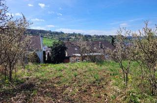 Grundstück zu kaufen in 71296 Heimsheim, Baugrundstück in Heimsheim | Süd- und Aussichtslage